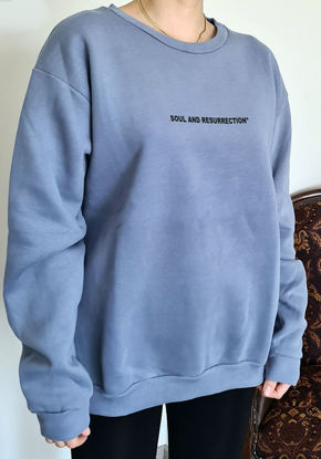 Zara Kelebek Baskılı Mavi Sweatshirt resmi